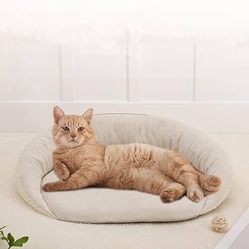 Amazon | 猫 ベッド ペットベッド 低反発ウレタンチップ 高反発